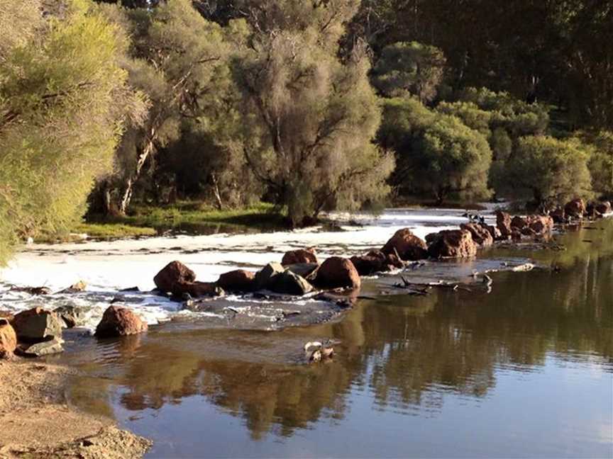 Lions Wier, Hotham River, Boddington Foreshore