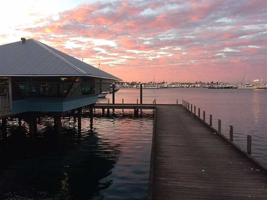 The View from The Deck