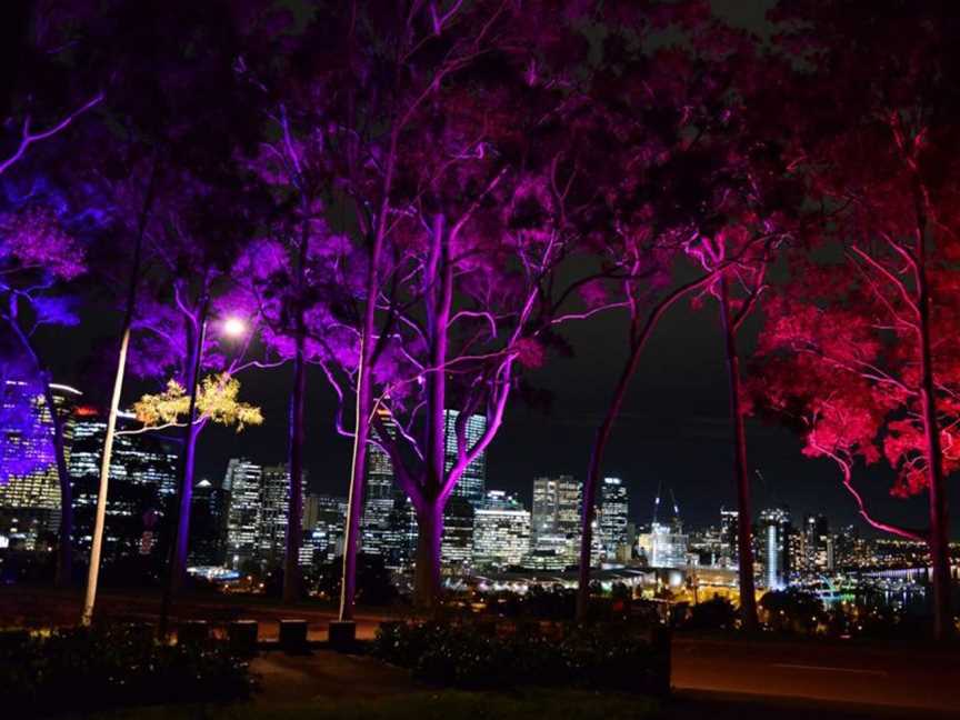 Fraser Avenue Tree Lights, Events in Kings Park