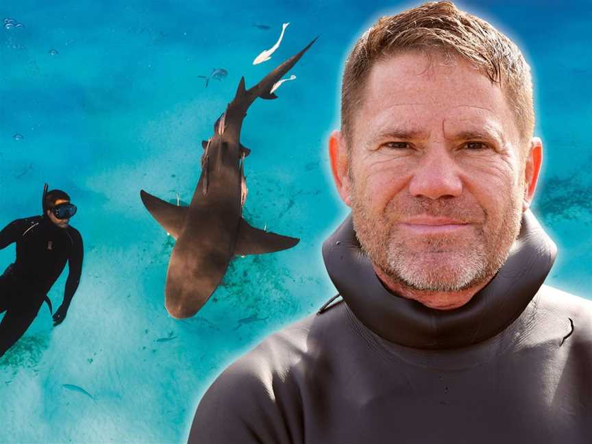 Steve Backshall, Events in Newtown