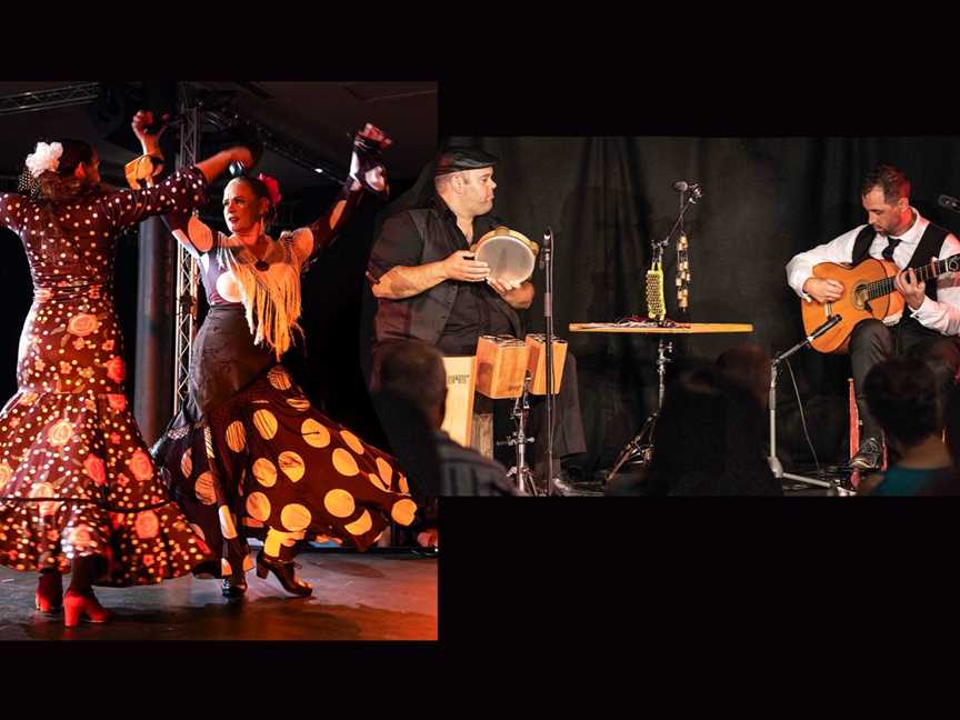 AIRE Flamenco Dancers & Musicians