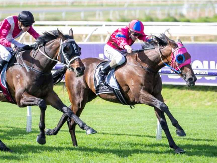 TABtouch Perth Cup Day at Ascot, Events in Ascot