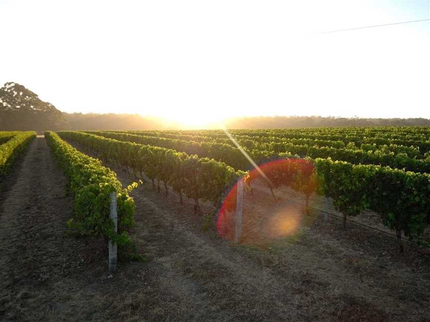 Rosily Vineyard, Wineries in Wilyabrup