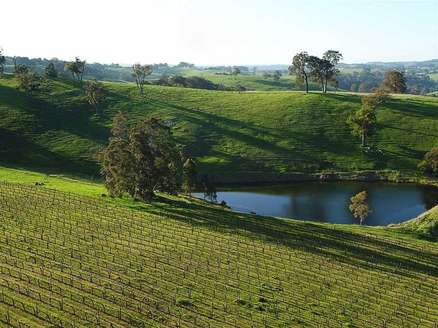 Aylesbury Estate, Wineries in Ferguson Valley