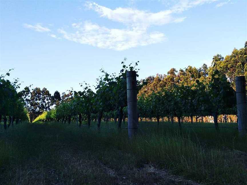 Tassell Park Wine