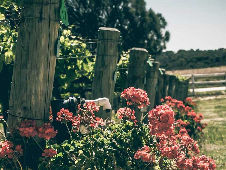 Stakehill Estate Winery, Wineries in Karnup