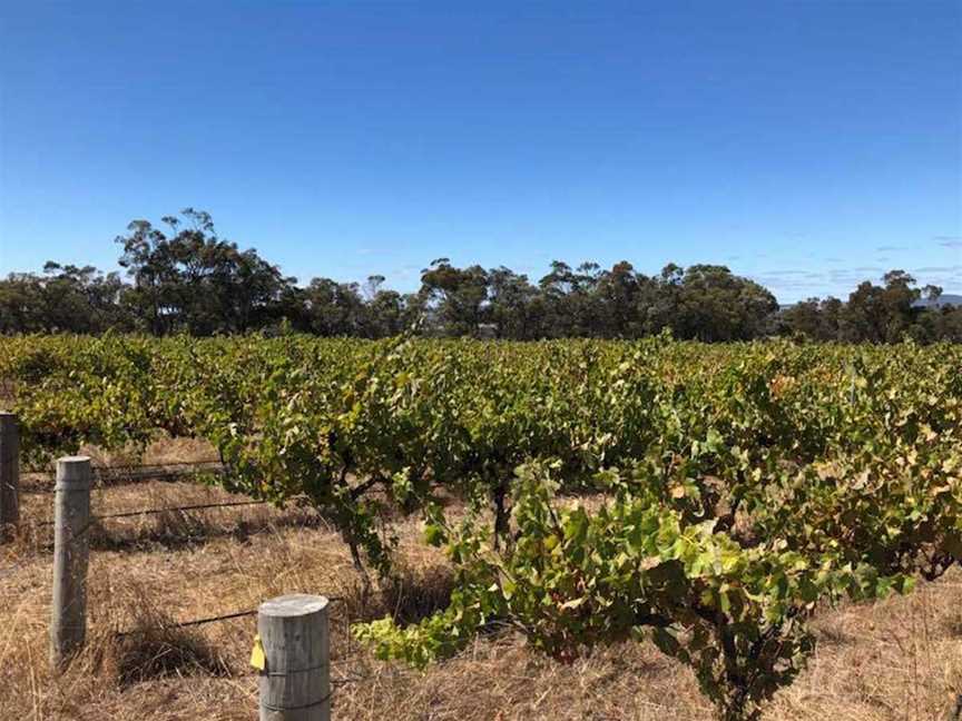 Hawker Ridge Wines, Wineries in Kendenup