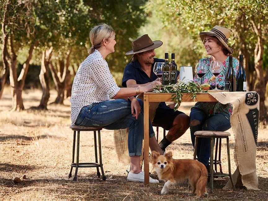 Amongst the wild olive trees