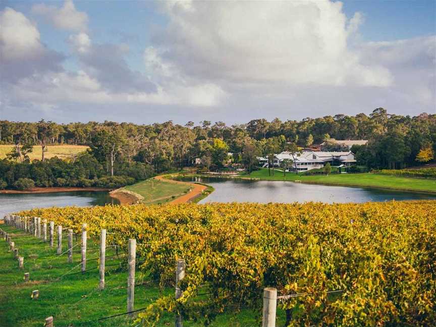 The beautiful, lush vines of the estate were planted back in the 1980s when the vineyard was first established