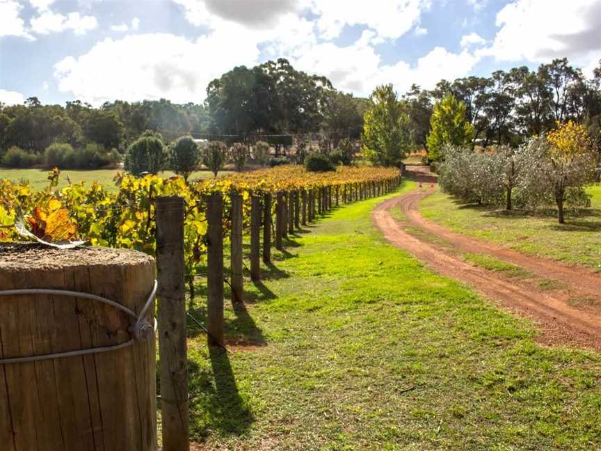 Tonon Vineyard & Winery, Wineries in Carmel