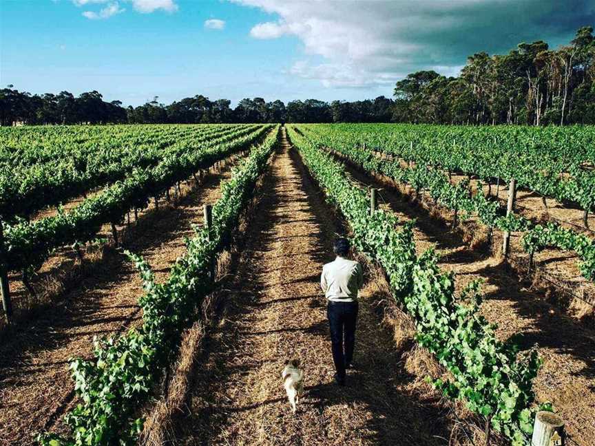 Cape Grace Wines, Wineries in Cowaramup