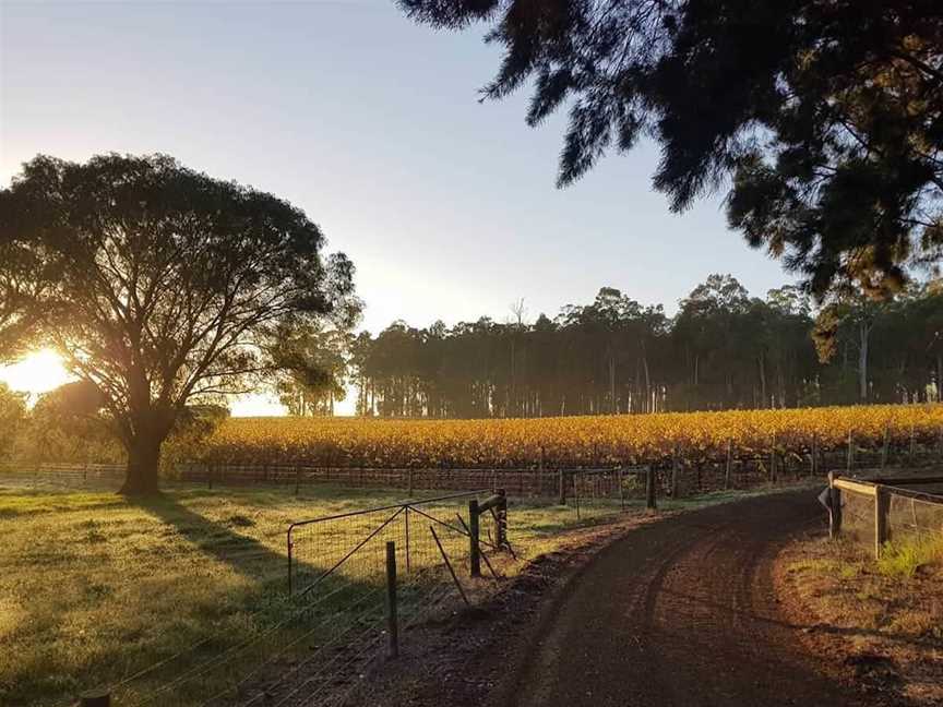 Below & Above Wines, Wineries in Pemberton