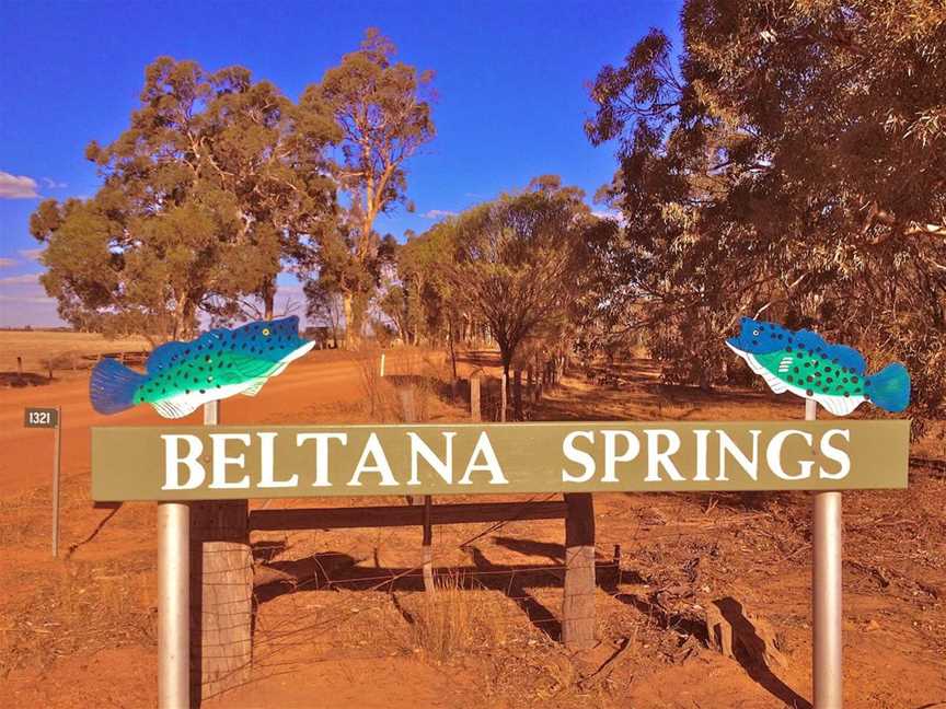 Beltana Springs, Wineries in Brookton