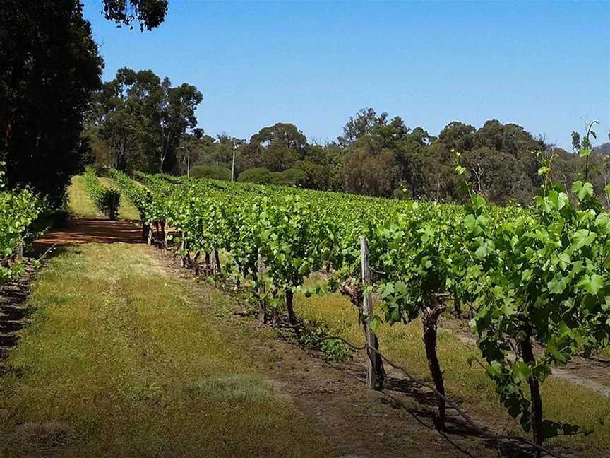 Stringybark Winery & Restaurant, Wineries in Chittering