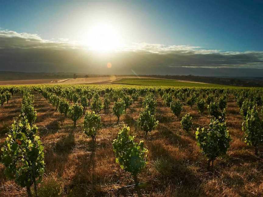 Swinney, Wineries in Frankland River