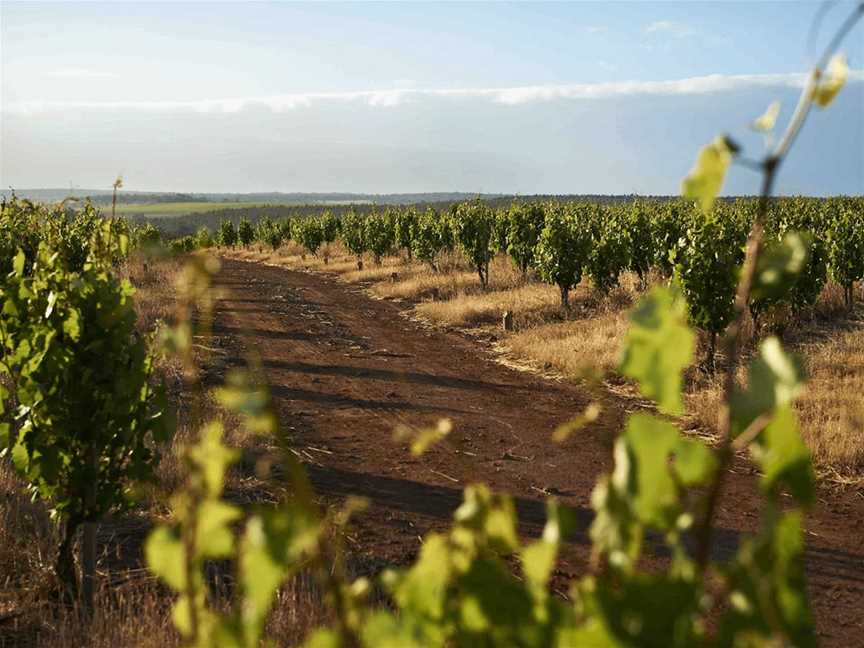 Swinney, Wineries in Frankland River