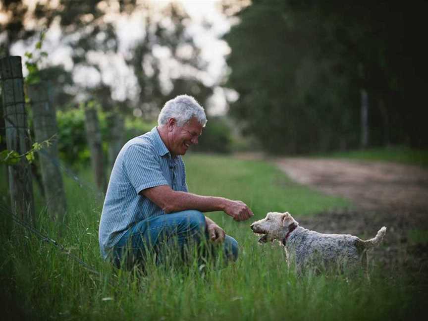 Night Harvest Vineyard, Wineries in North Jindong