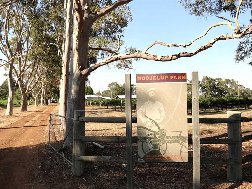 Moojelup Farm Wines, Wineries in Cookernup