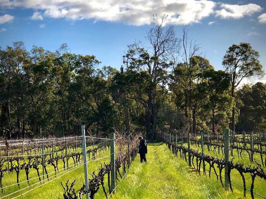 Morlet of Margaret River, Wineries in Cowaramup