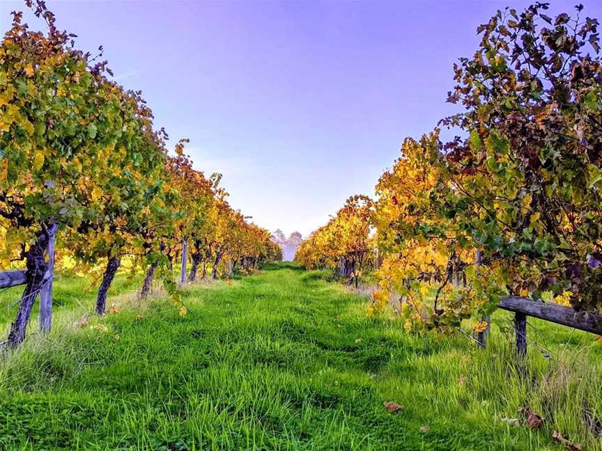 Vintners Ridge Estate, Wineries in Quindalup