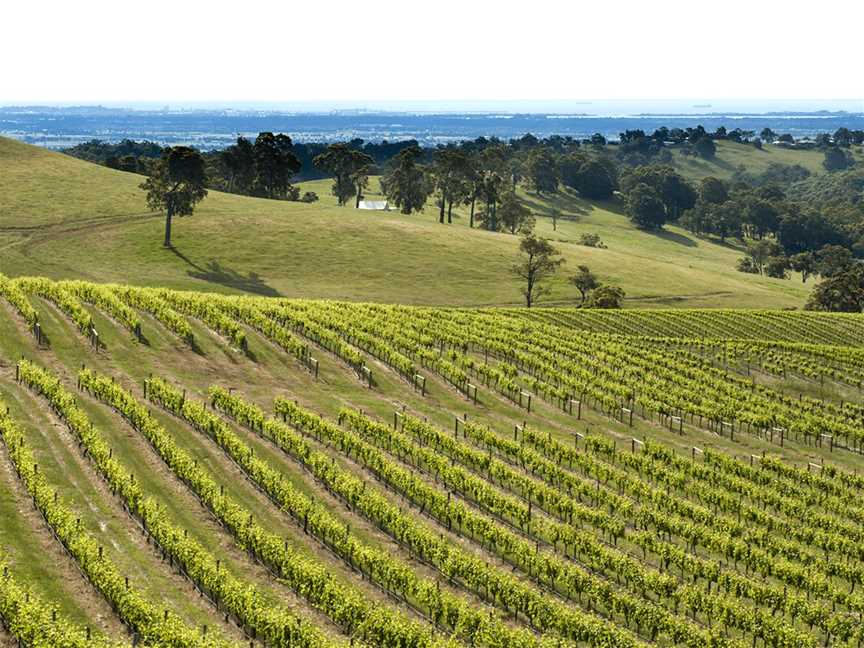 Willow Bridge Estate, Wineries in Henty