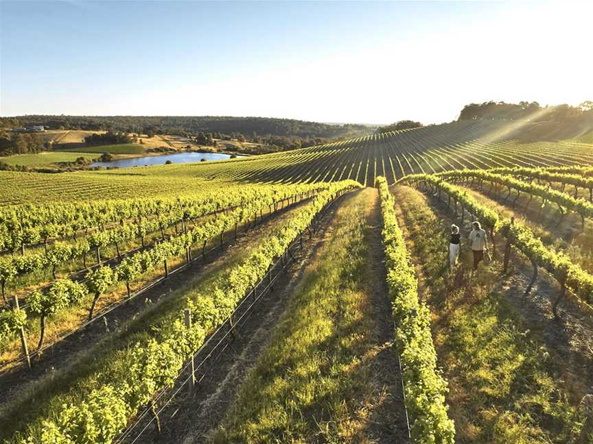 Willow Bridge Estate, Wineries in Henty