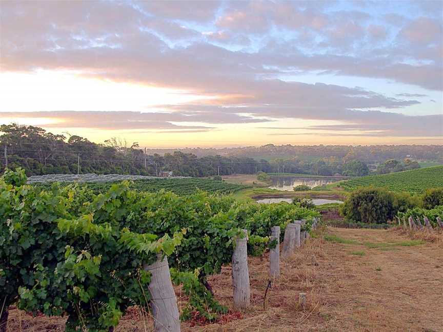 Woodlands Winery, Wineries in Wilyabrup