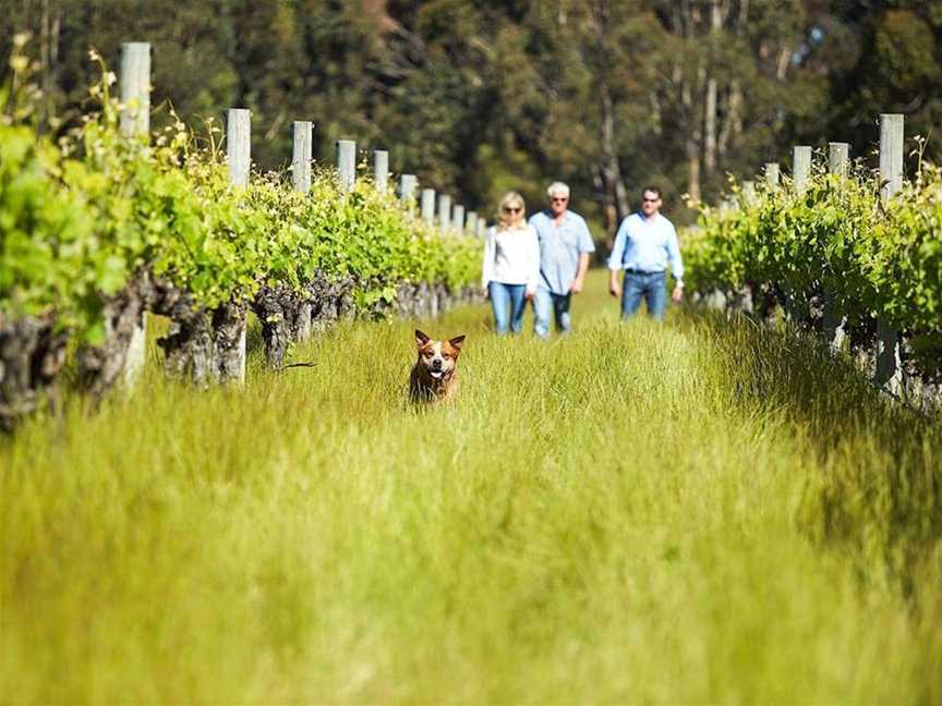 Passel Estate, Wineries in Cowaramup