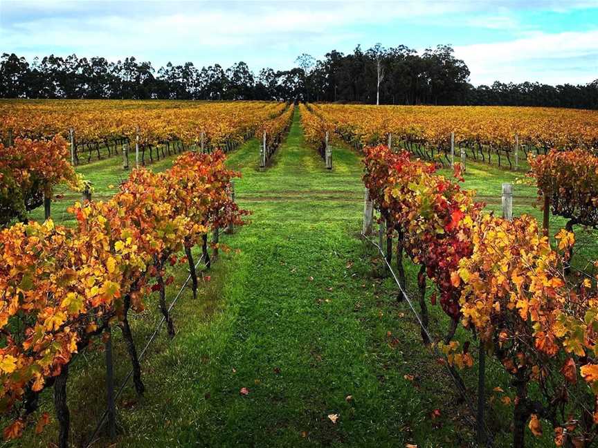 Peos Estate, Wineries in West Manjimup