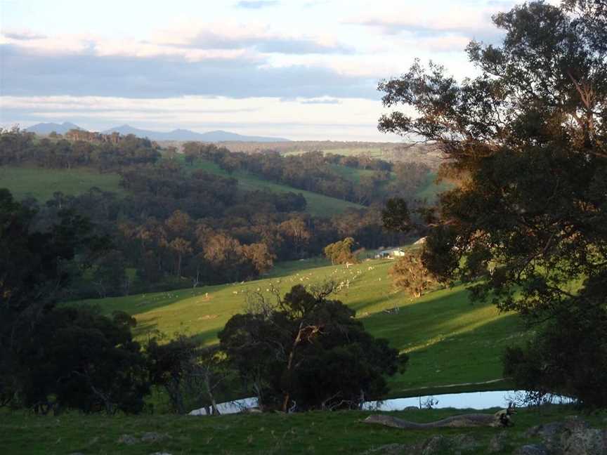 Poacher's Ridge, Wineries in Mount Barker