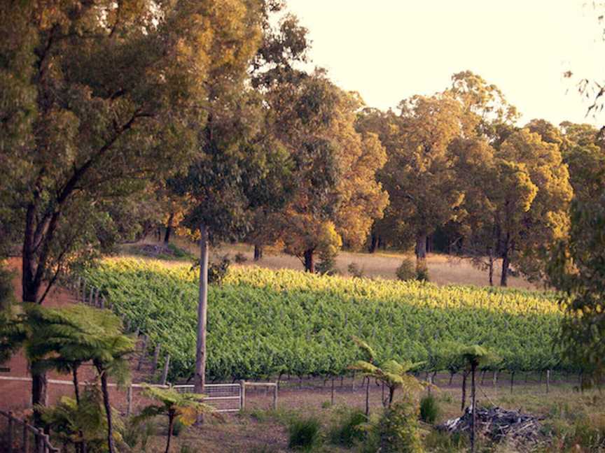 Polguern Estate Wines, Wineries in Roleystone