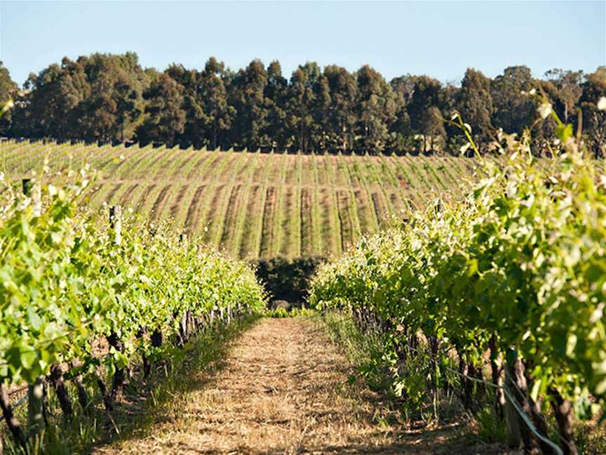 Dawson Wines, Wineries in Yallingup