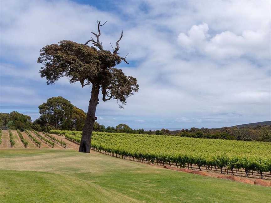 Simpson Estate, Wineries in Yallingup