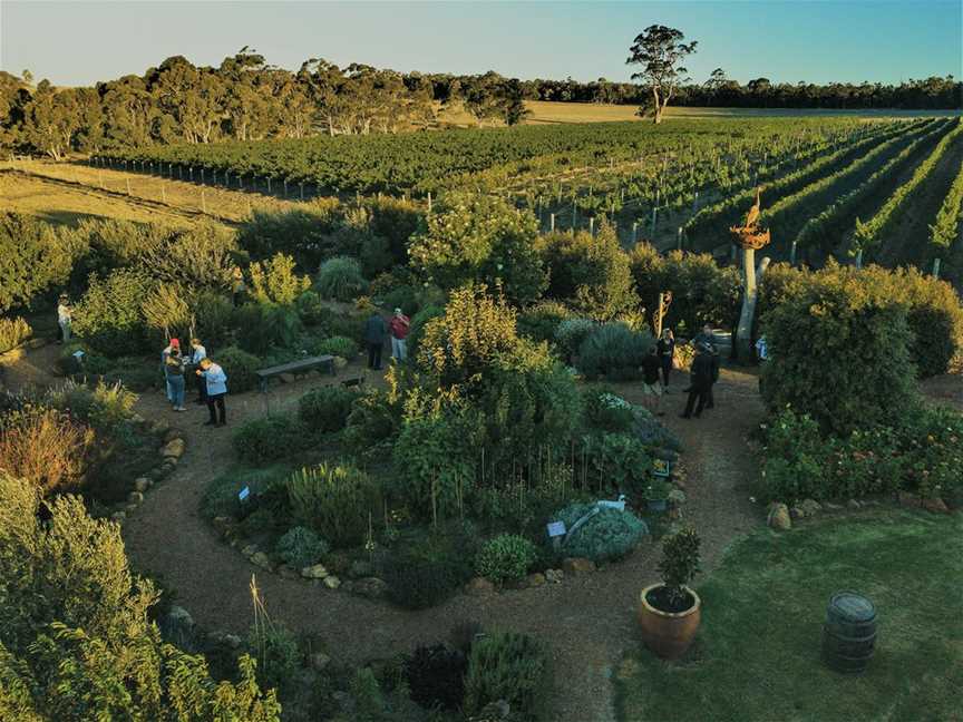 Whicher Ridge Wines, Wineries in Chapman Hill