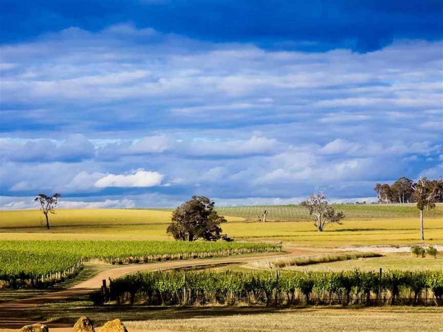 Frankland Estate, Wineries in Frankland River