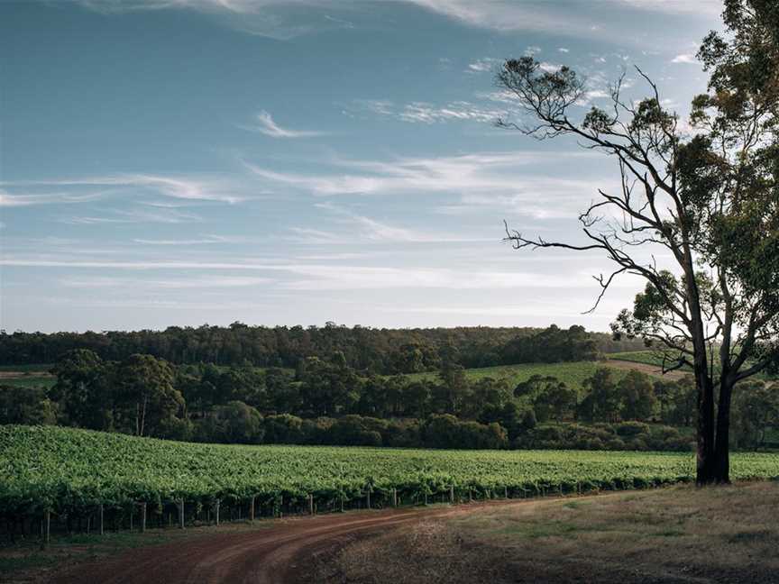 Forester Estate, Wineries in Yallingup Siding