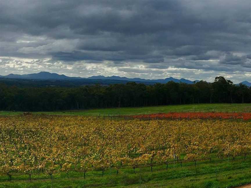 Montefalcon Vineyard, Wineries in Porongurup