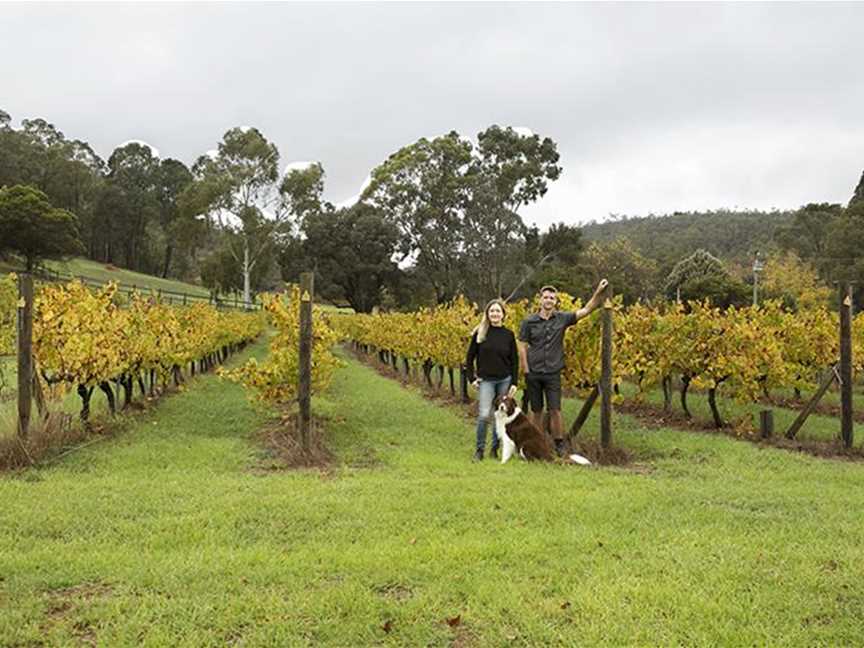 The Packing Shed at Lawnbrook, Wineries in Bickley