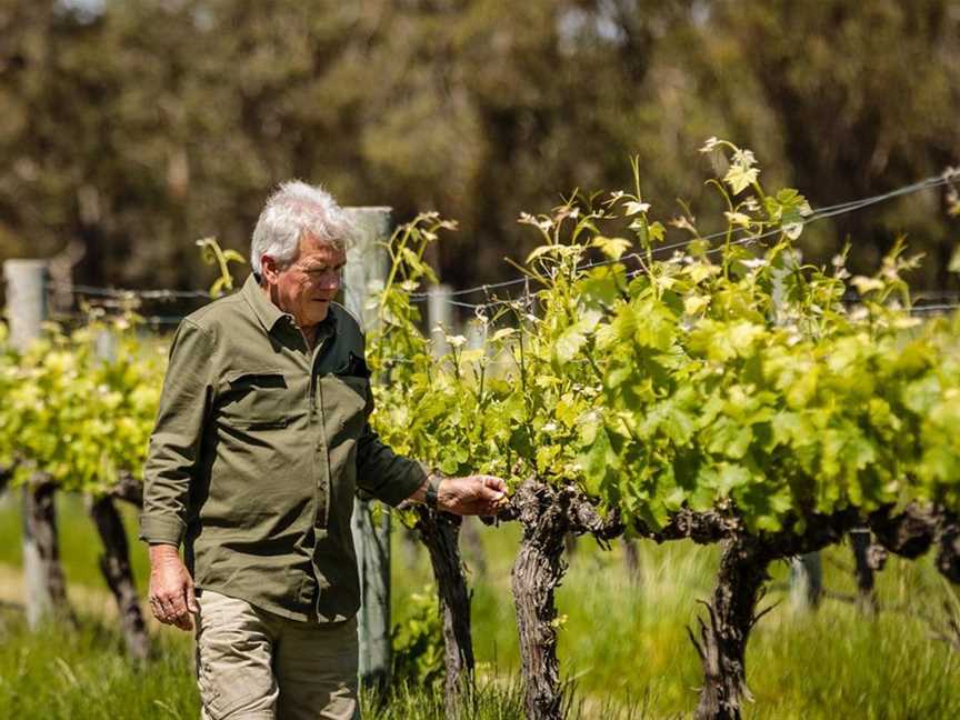 John Frazer checking his vines