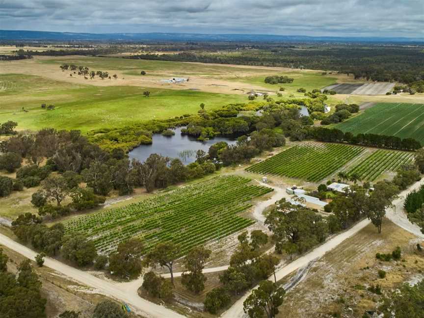 Vineyard 28 - Aerial View