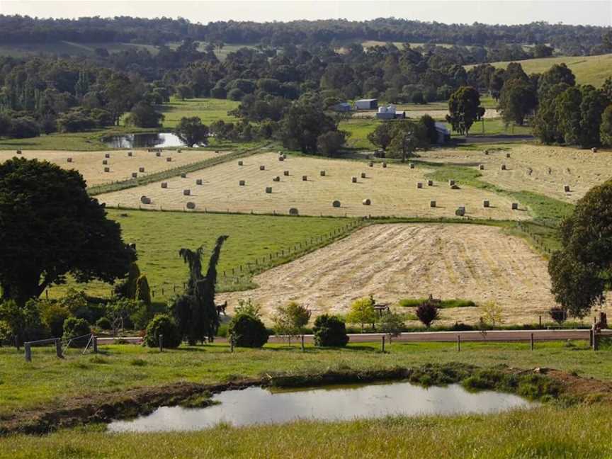 Mandalay Road, Wineries in Glen Mervyn