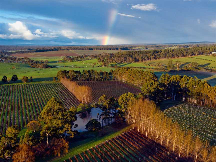 Cape Landing, Wineries in Forest Grove