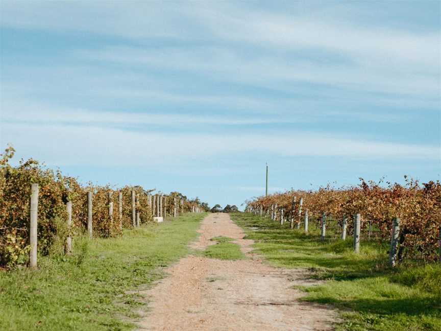 Rosabrook Wines, Wineries in Rosa Brook