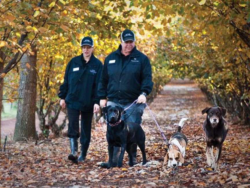 Truffle Hill, Wineries in Manjimup