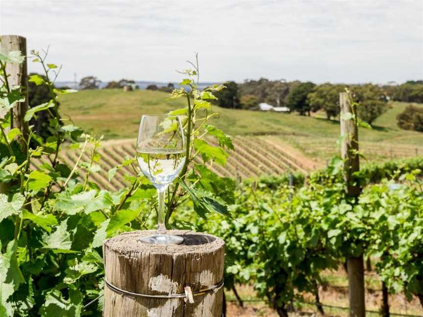 Anderson Hill, Lenswood, South Australia