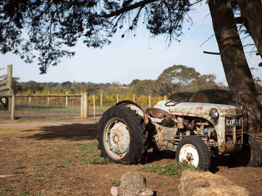 Baie Wines, Wineries in Curlewis