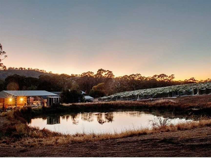 BlackJack Vineyards, Harcourt, Victoria