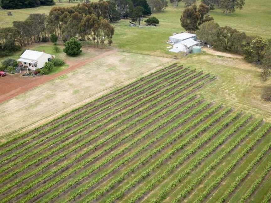 Bochara Wines, Wineries in Hamilton