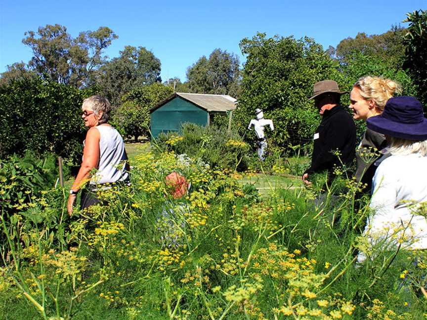 Box Grove Vineyard, Wineries in Tabilk