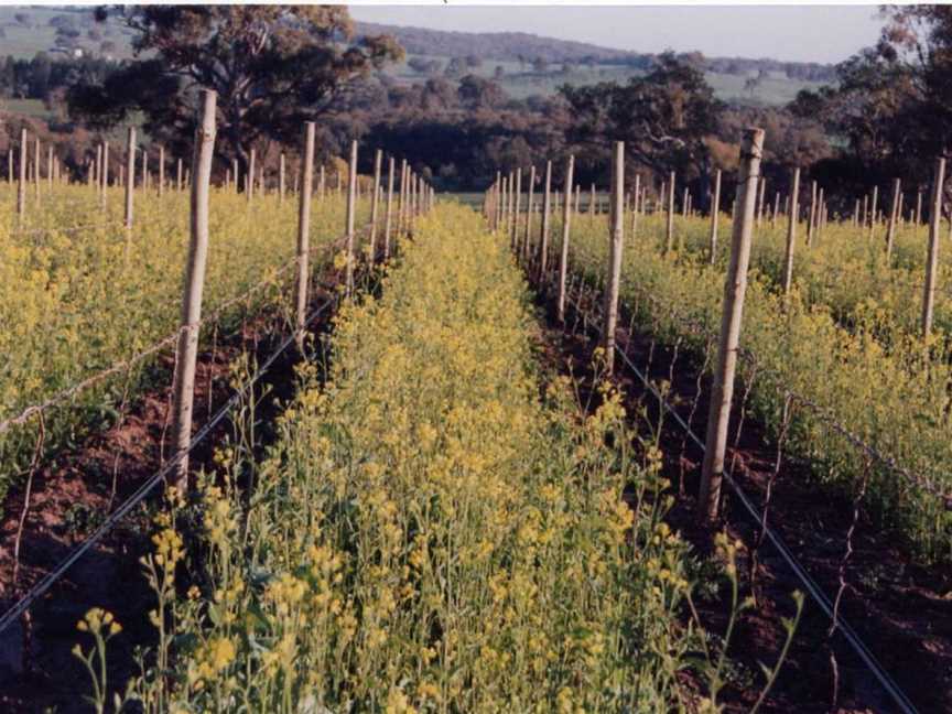 Castagna, Wineries in Beechworth